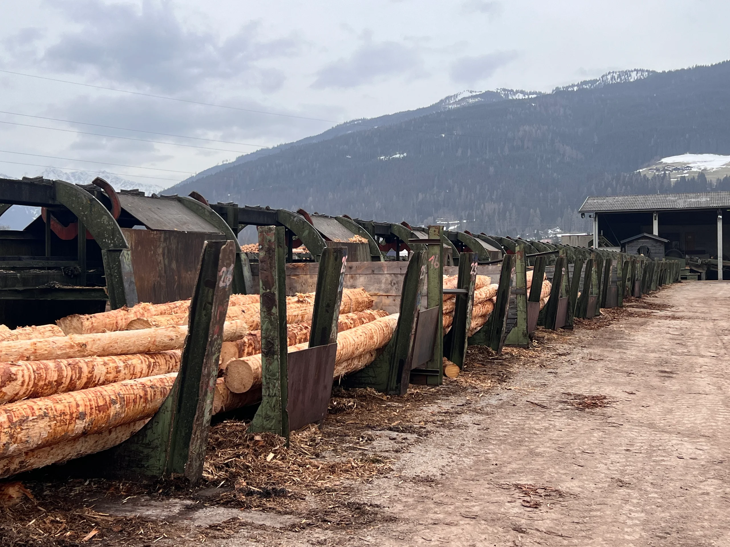 Rundholz Sortieranlage mit Entrindung - Bild 13