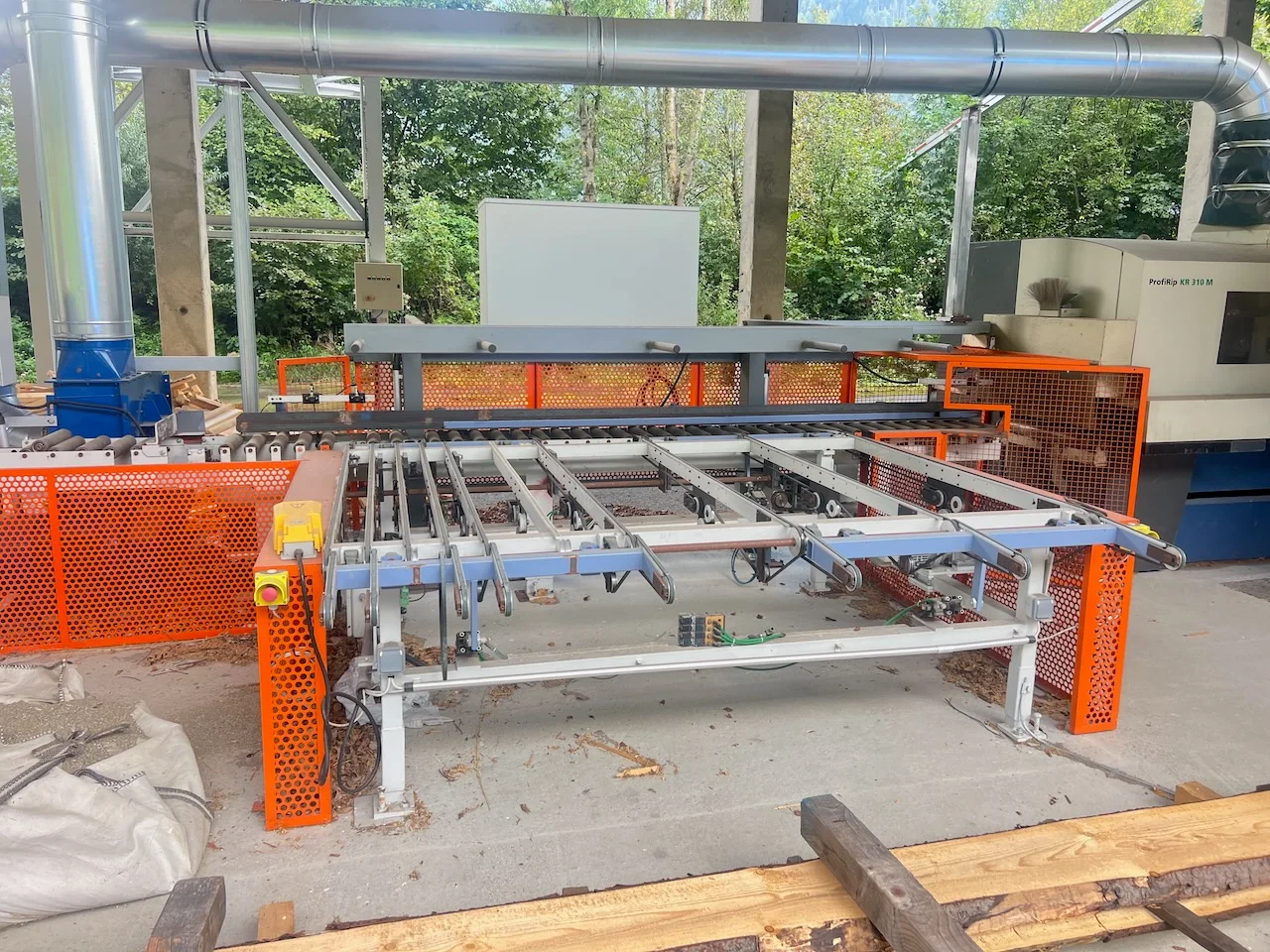 Vielblattsäge - Bild 4